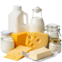 Dairy