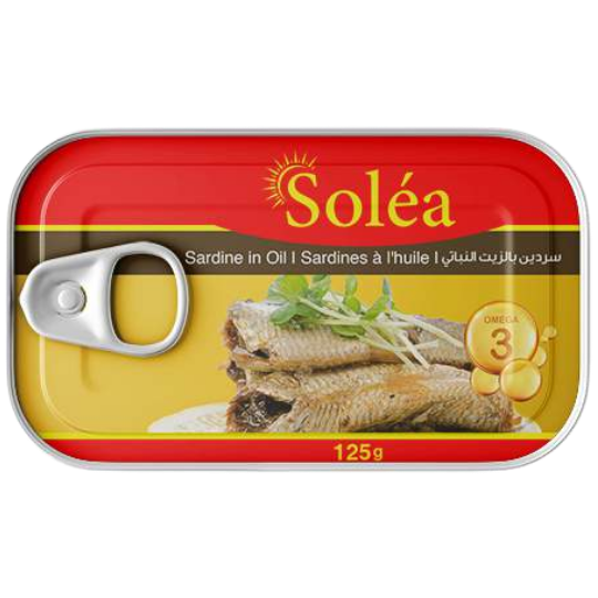 sardine in oil